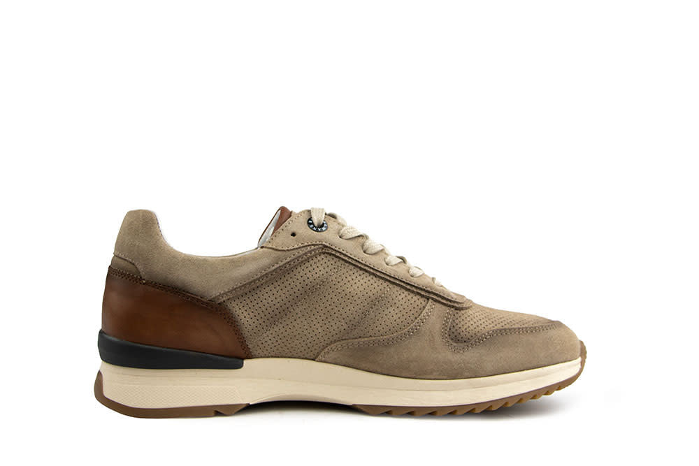 Berkelmans Sneaker Oyama Piedra Suede