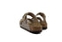 Birkenstock Arizona Big Buckle Graceful Taupe Narrow