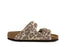 Birkenstock Arizona BS Leo Sandcastle Regular