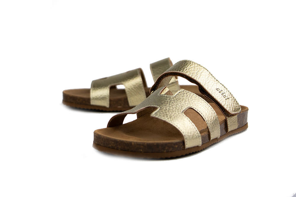 Clic Slipper Next Elephant Platino Sirocco
