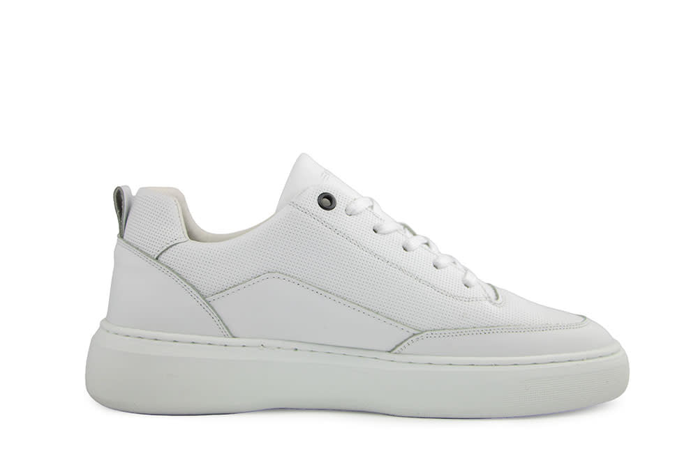 Cycleur de Luxe Roubaix-DR7 White