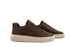 Cycleur de Luxe Roubaix DR7 Chocolab Lab