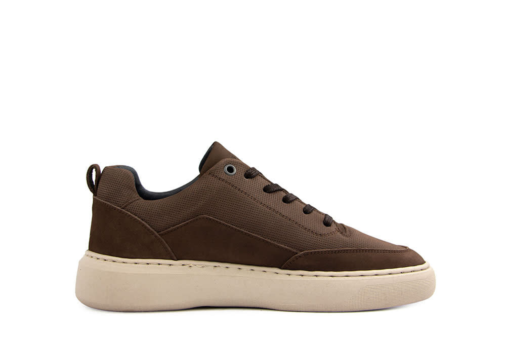 Cycleur de Luxe Roubaix DR7 Chocolab Lab