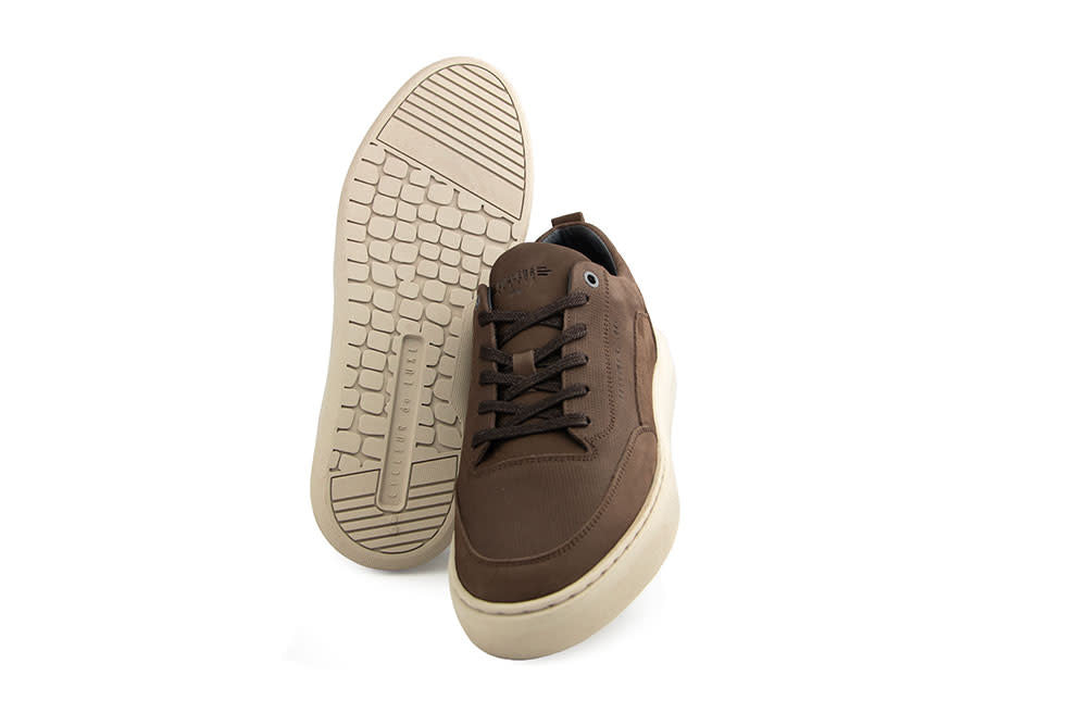 Cycleur de Luxe Roubaix DR7 Chocolab Lab