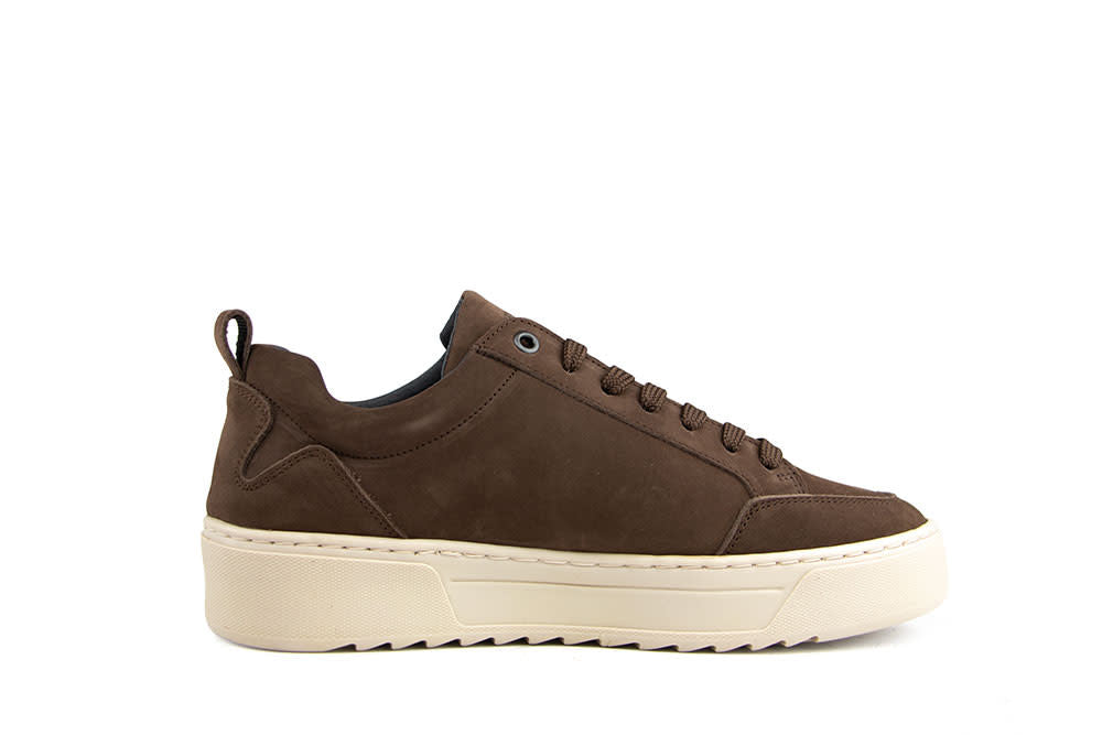 Cycleur de Luxe Bishop TS2 Chocolate Lab