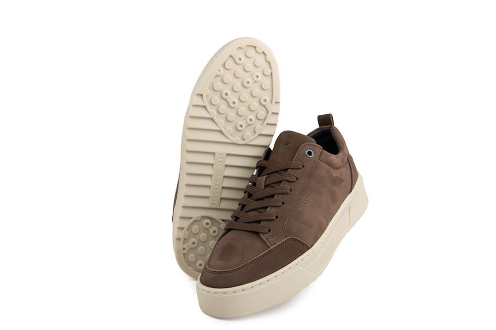 Cycleur de Luxe Bishop TS2 Chocolate Lab