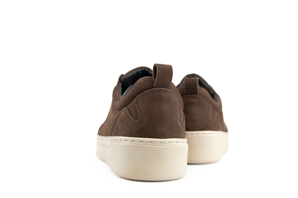 Cycleur de Luxe Bishop TS2 Chocolate Lab