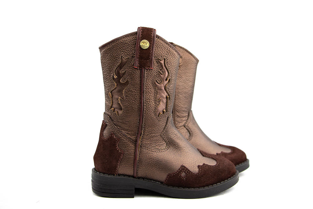 Develab Western Laars Bronze Combi