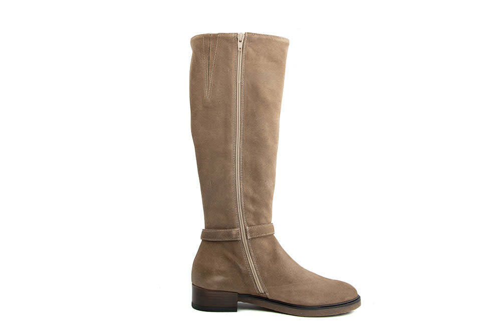 DL Sport Laars Velour Shore
