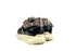 DL Sport Sneaker Siryo Nero Terra