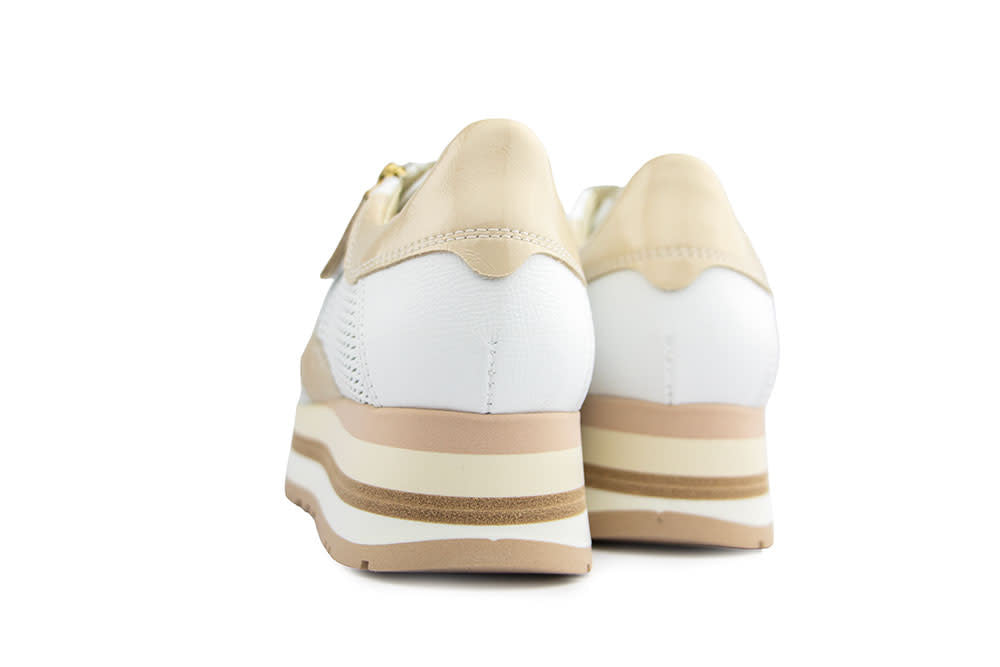 DL Sport Sneaker Alpina White Combi