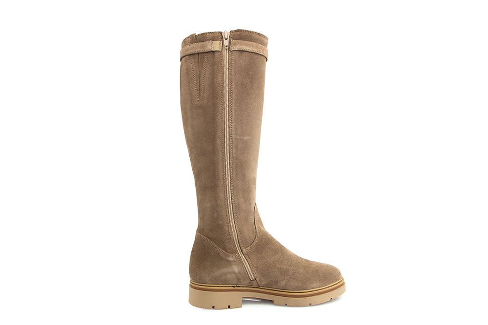 DL Sport Laars Shore Velour