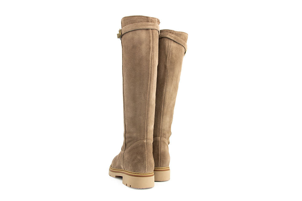 DL Sport Laars Shore Velour