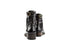 DL Sport Veterboot Scillack Testa di Moro