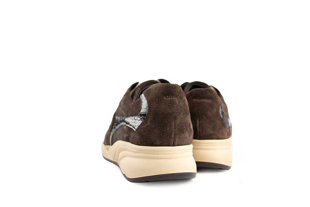 Durea Sneaker Caffee Bruin