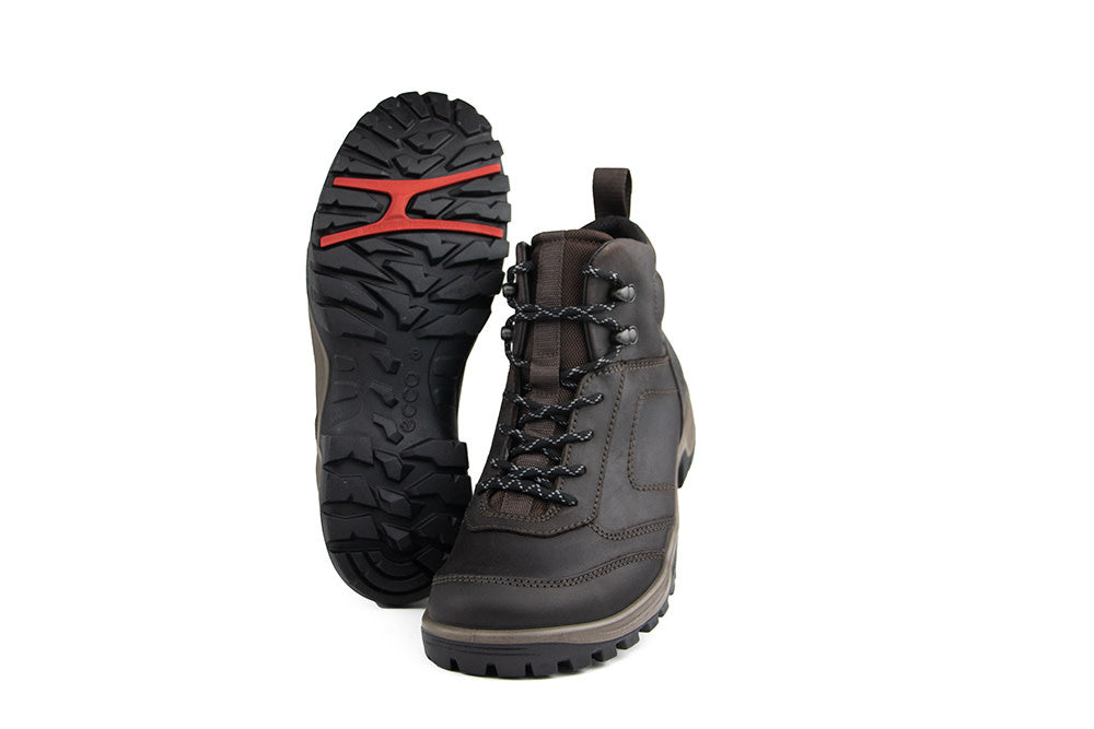 Ecco Xpedition III WP Boot Coffee