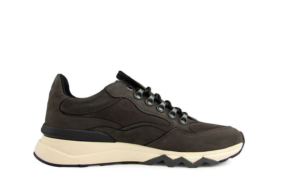 Floris van Bommel De Zager 01.29 D.Brown