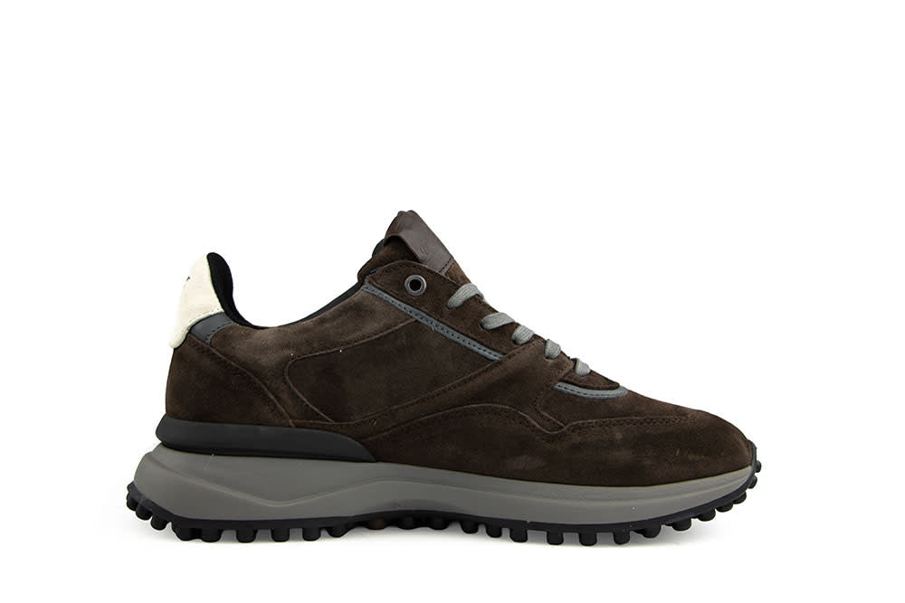 Floris van Bommel Noppi 29.70 Darkbrown