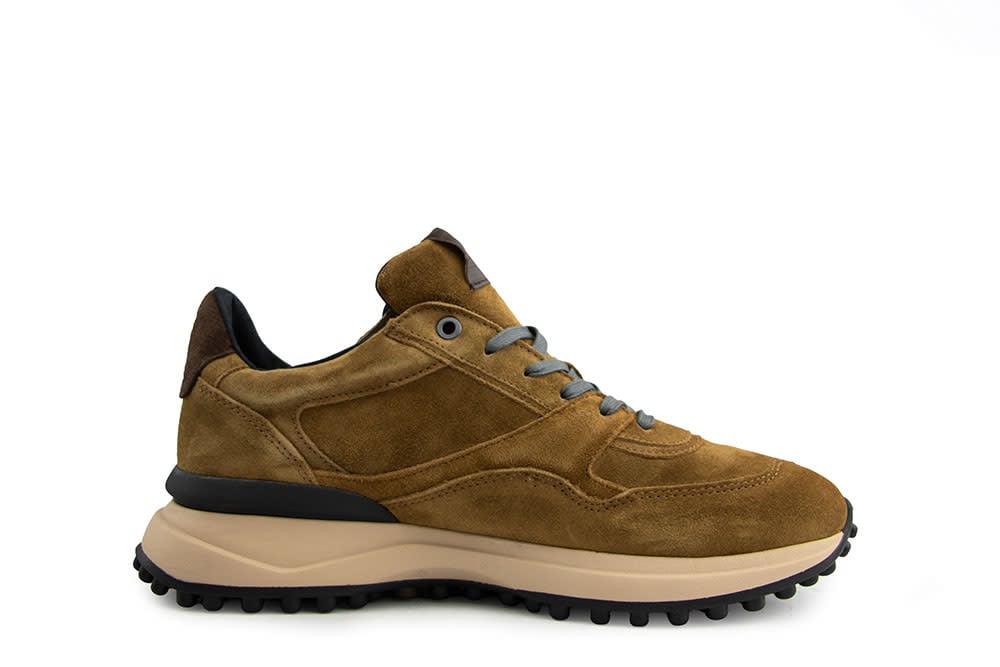 Floris van Bommel Noppi 29.73 Cognac