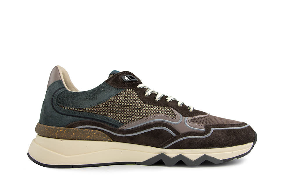 Floris van Bommel De Zager 03.14 D.Brown