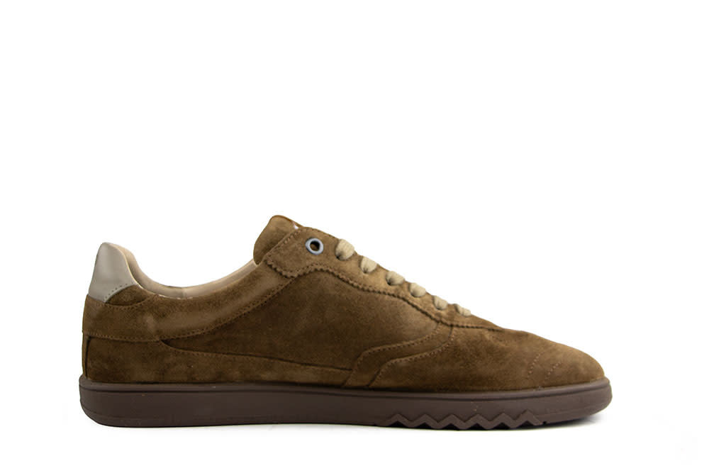 Floris van Bommel De Zaler 04.12 L.Brown