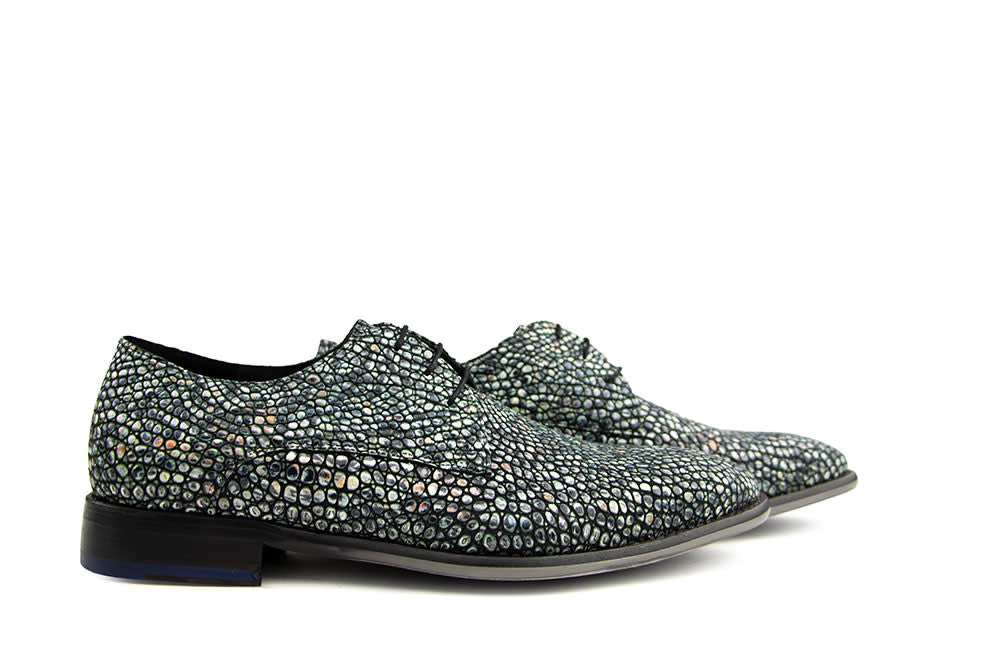 Floris van Bommel De Netter 10.19 Grey
