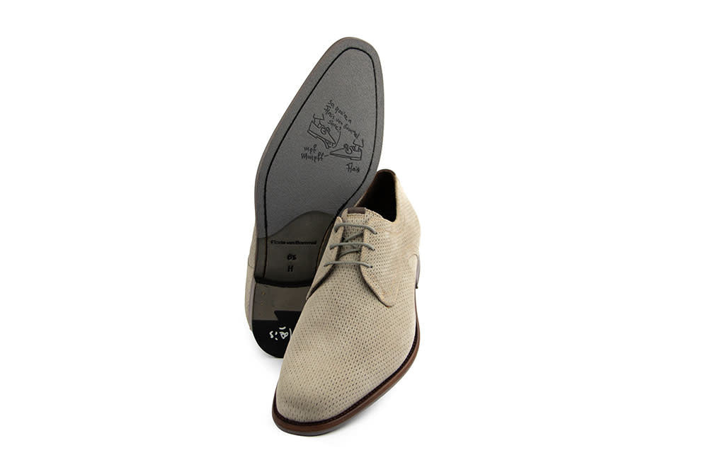 Floris van Bommel De Draver 03.30 L.Brown