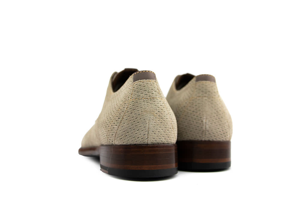Floris van Bommel De Draver 03.30 L.Brown