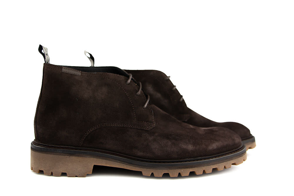 Floris van Bommel Sturdi 01.36 D.Brown