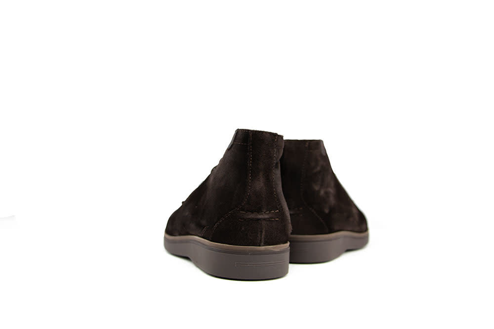 Floris van Bommel De Oister 05.00 D.Brown