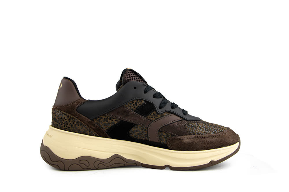 Floris van Bommel Holli 01.01 Brown