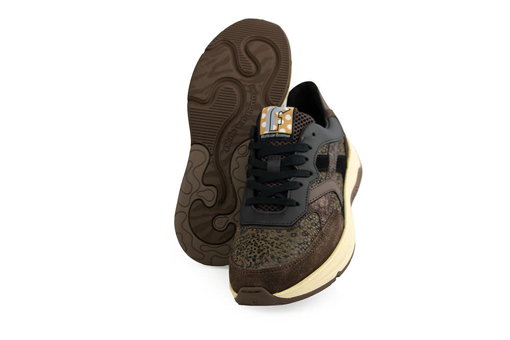 Floris van Bommel Holli 01.01 Brown