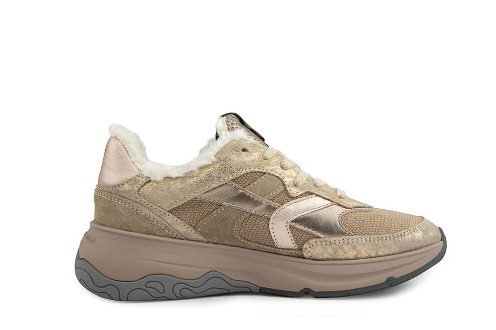 Floris van Bommel Holli 01.06 Gold