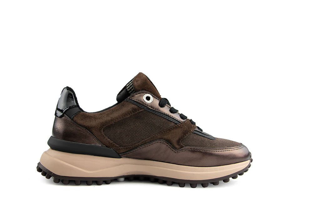 Floris van Bommel Noppi 52.06 Darkbrown