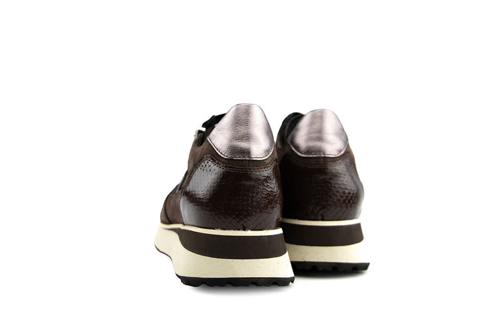 Footnotes Sneaker Elke Brown Metal Print