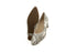 Gabor Pump Sage Snake Supreme