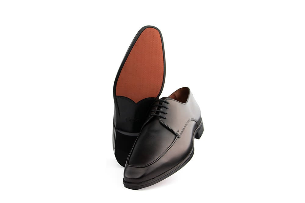 Greve Veter Gouda Black Signet