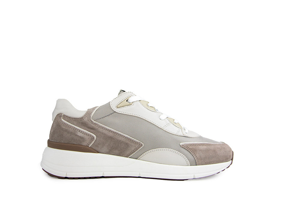 Greve Sneaker Walker K Roccia Suede