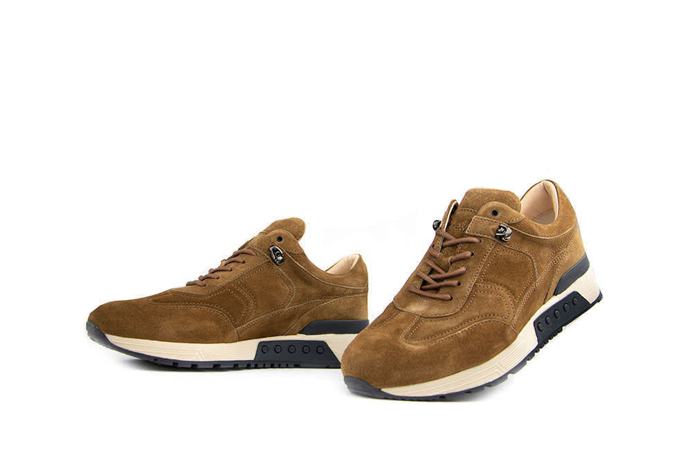 Greve Sneaker Haarlem Alce Talca