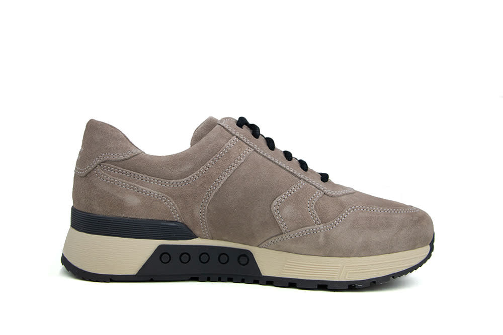Greve Sneaker Haarlem K Roccia Suede