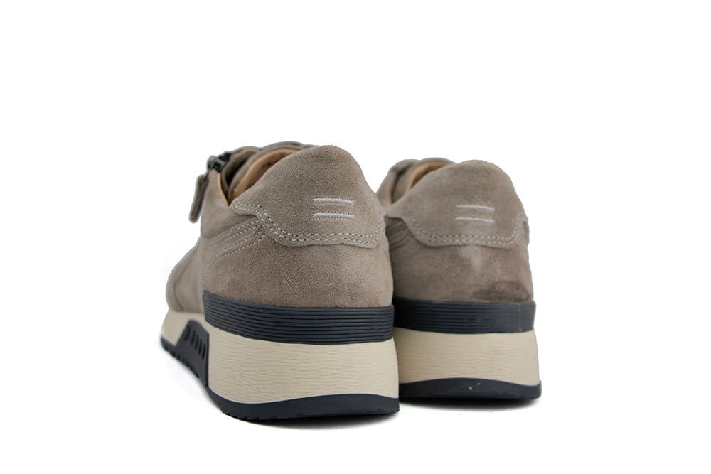 Greve Sneaker Haarlem K Roccia Suede