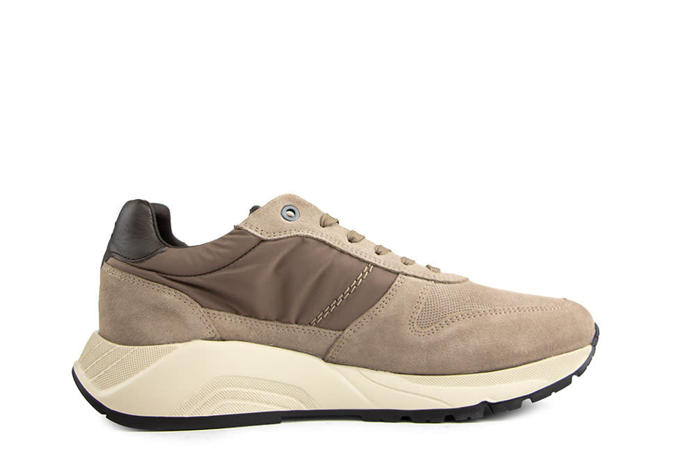 Greve Sneaker Arnhem Arkansa Suède