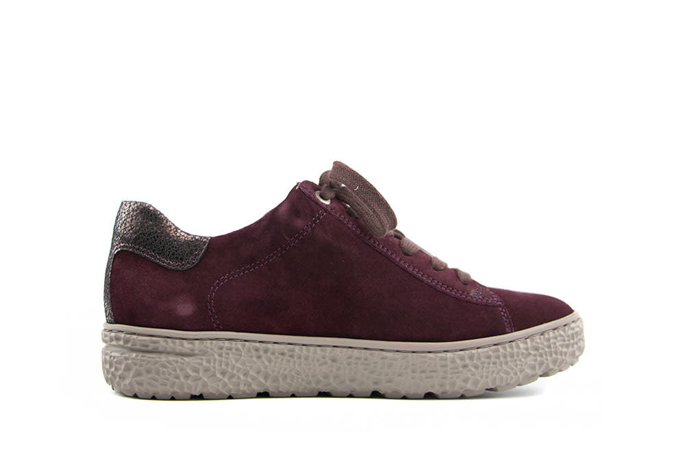 Hartjes Sneaker Phil Aubergine Velour
