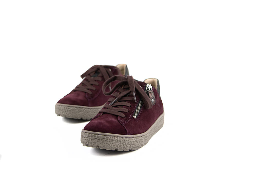 Hartjes Sneaker Phil Aubergine Velour
