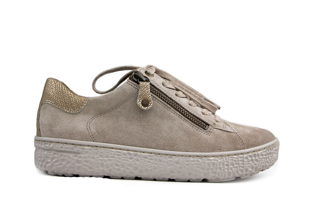 Hartjes Sneaker Phil Birke Gold