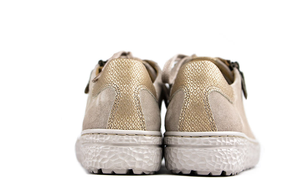 Hartjes Sneaker Phil Birke Gold
