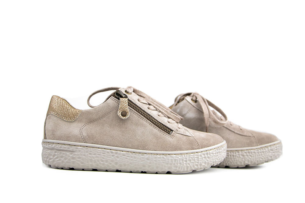 Hartjes Sneaker Phil Birke Gold
