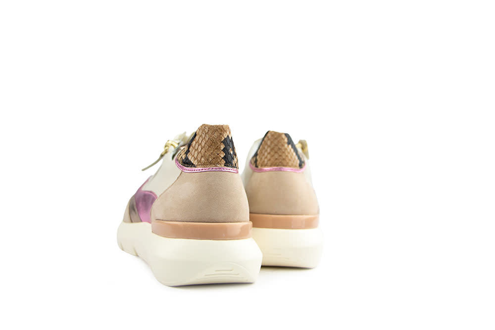 Hassia Bordeaux Sneaker Creme Multi