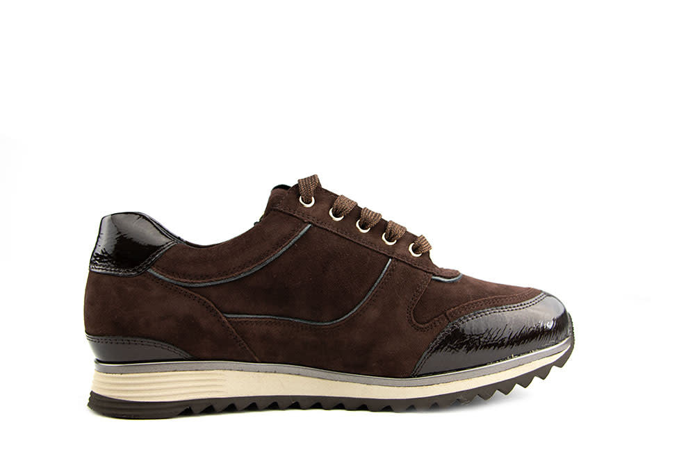 Hassia Porto Sneaker Chocplum