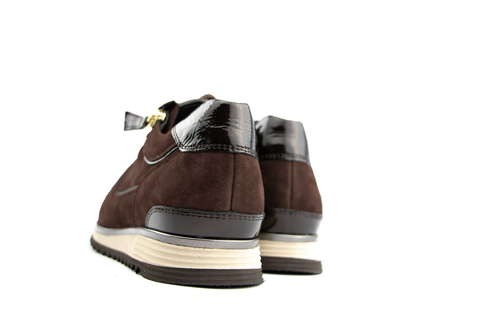 Hassia Porto Sneaker Chocplum